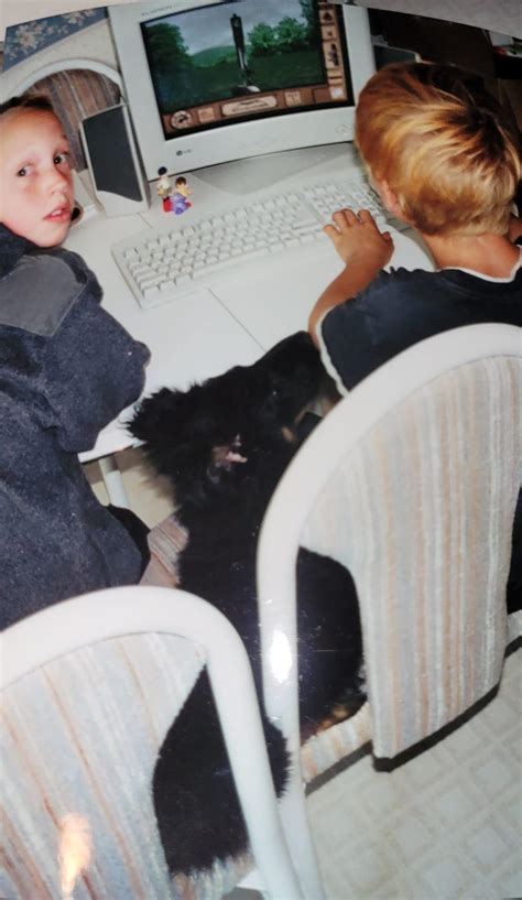 Early 2000s PC Horse Game : r/tipofmyjoystick .